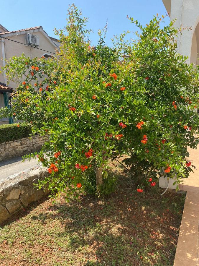 Apartmani Ana Borovac Funtana Esterno foto